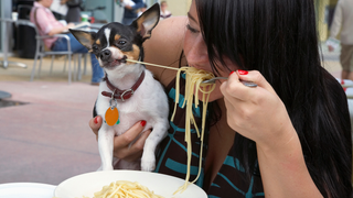 Last Call: What’s the weirdest food your pet can’t get enough of?